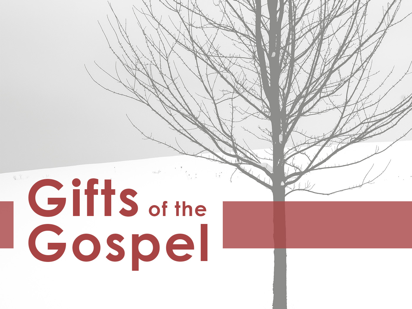 The Gift of Surpassing Grace