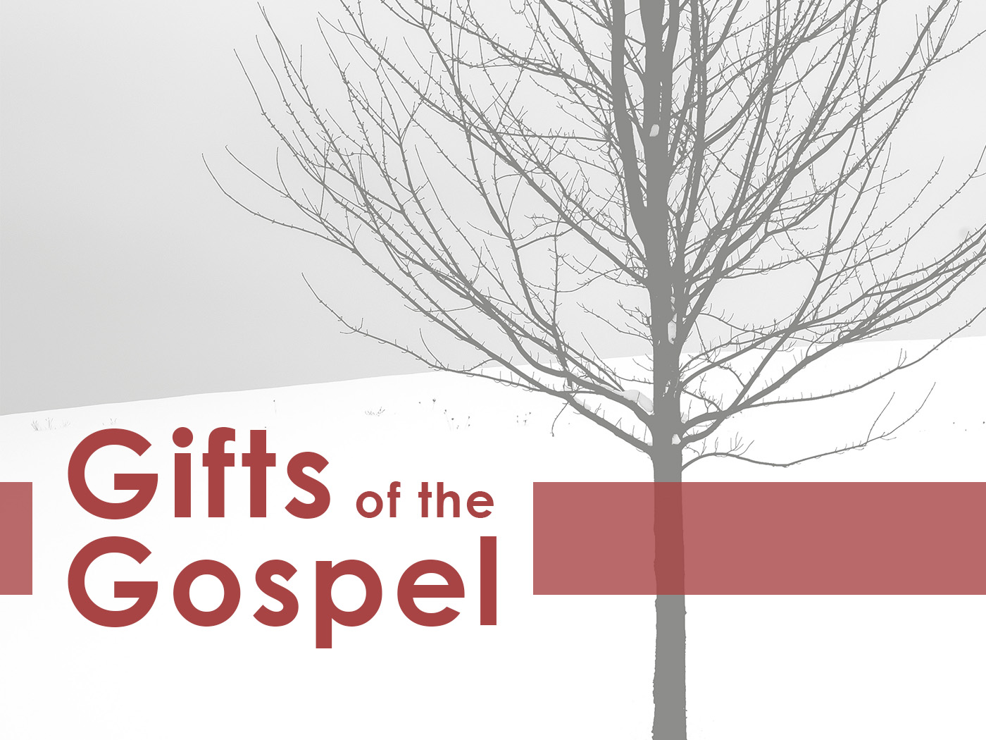 The Gift of the Holy Spirit