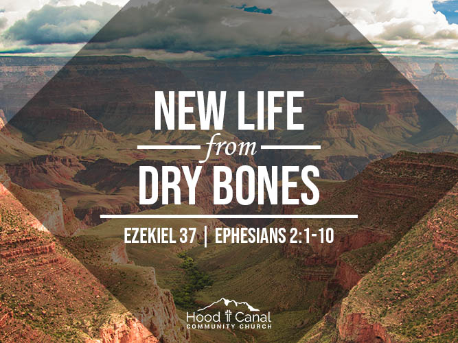 New Life from Dry Bones